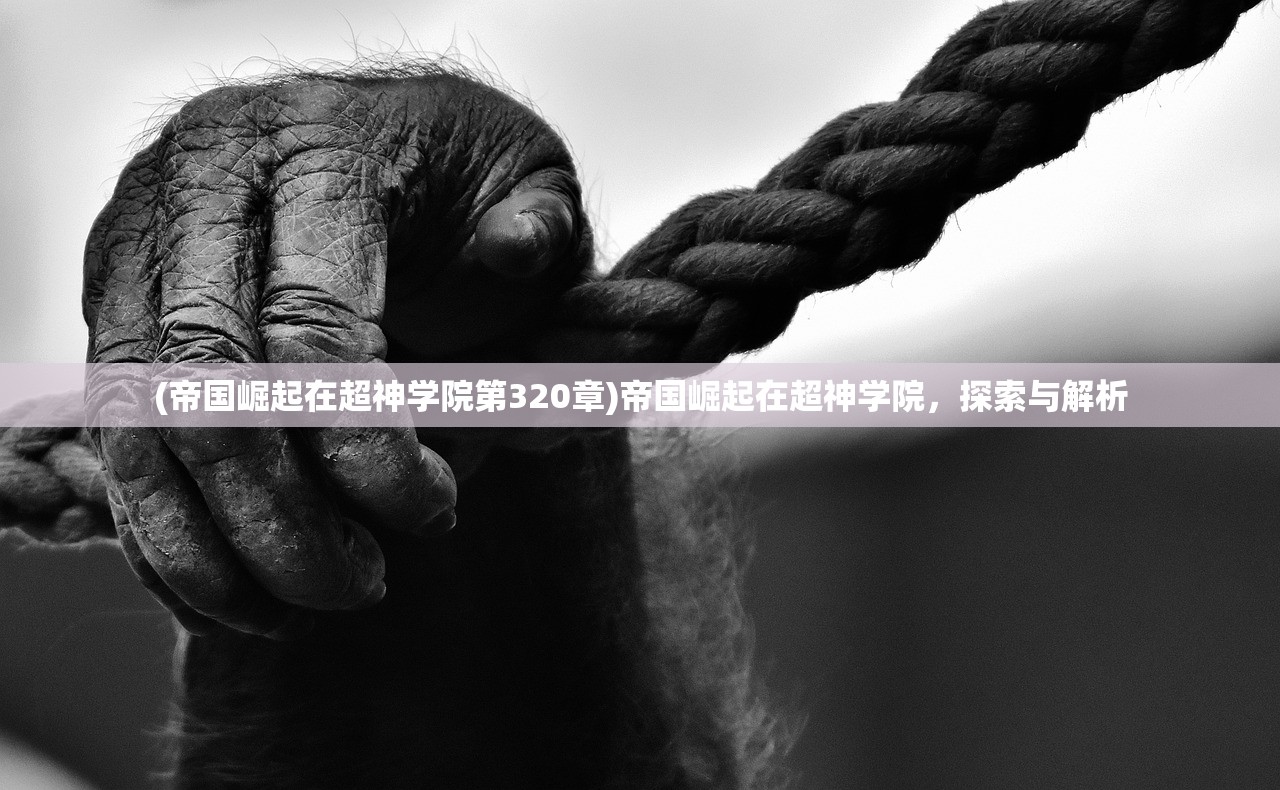 (帝国崛起在超神学院第320章)帝国崛起在超神学院，探索与解析