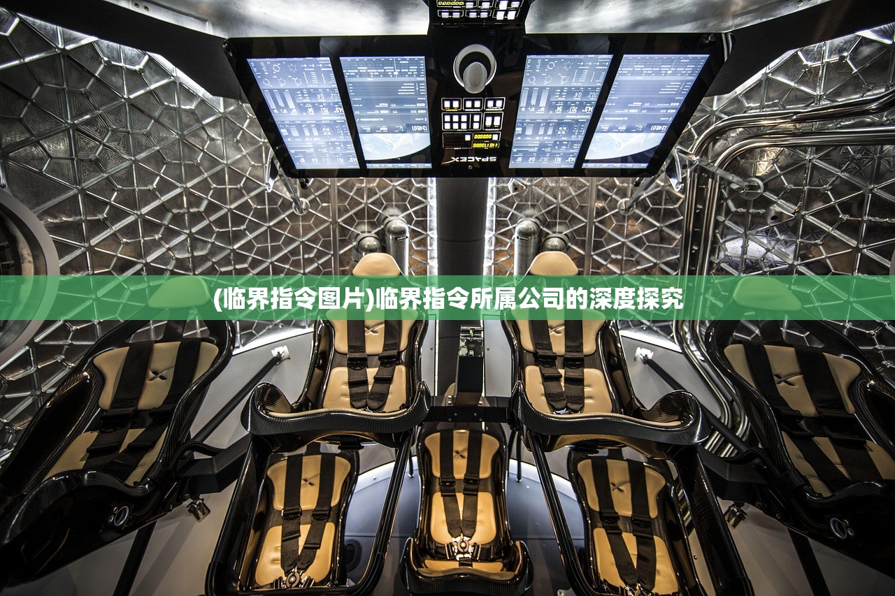 (临界指令图片)临界指令所属公司的深度探究