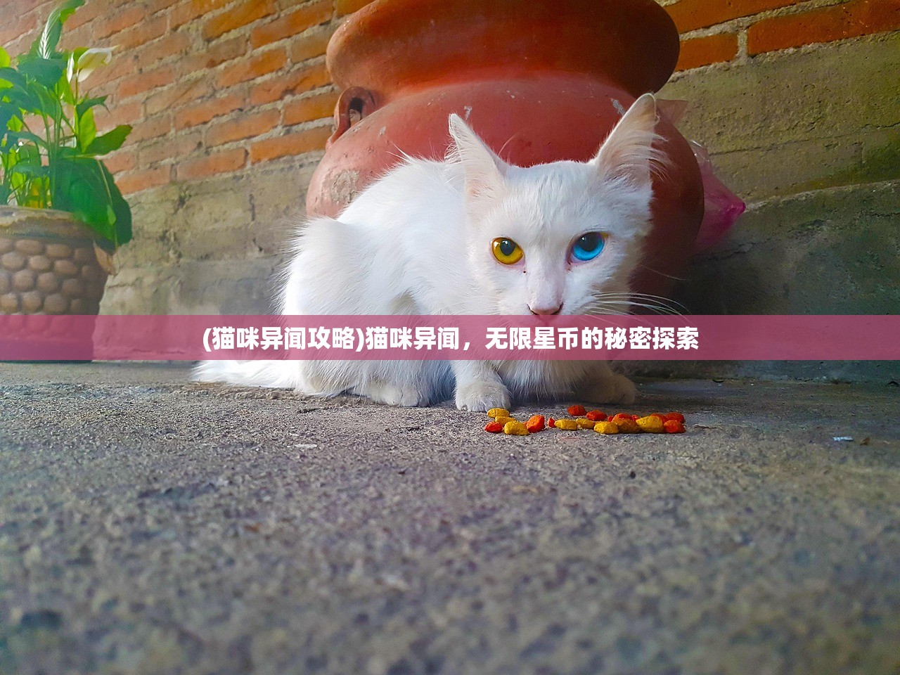 (征唐文字传奇礼包码)征唐文字传奇，探寻古代文学的魅力与传承