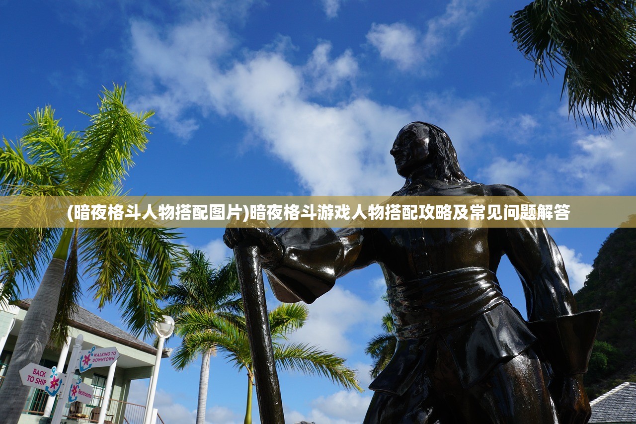 (暗夜格斗人物搭配图片)暗夜格斗游戏人物搭配攻略及常见问题解答