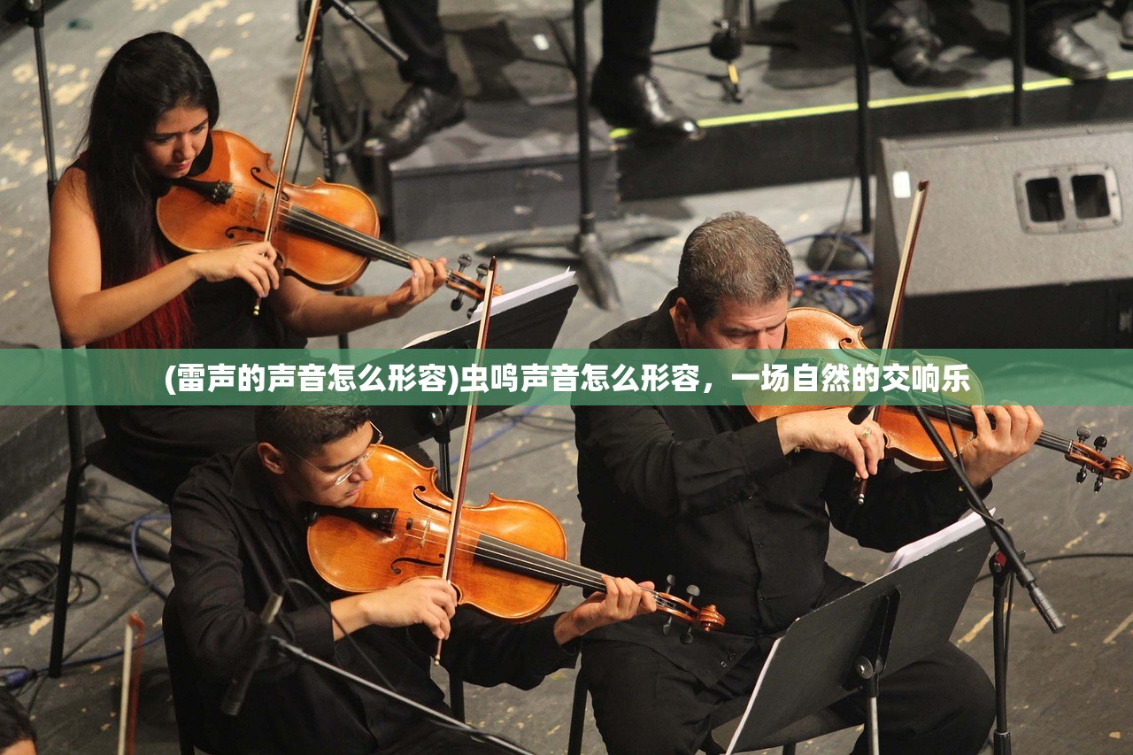 (雷声的声音怎么形容)虫鸣声音怎么形容，一场自然的交响乐