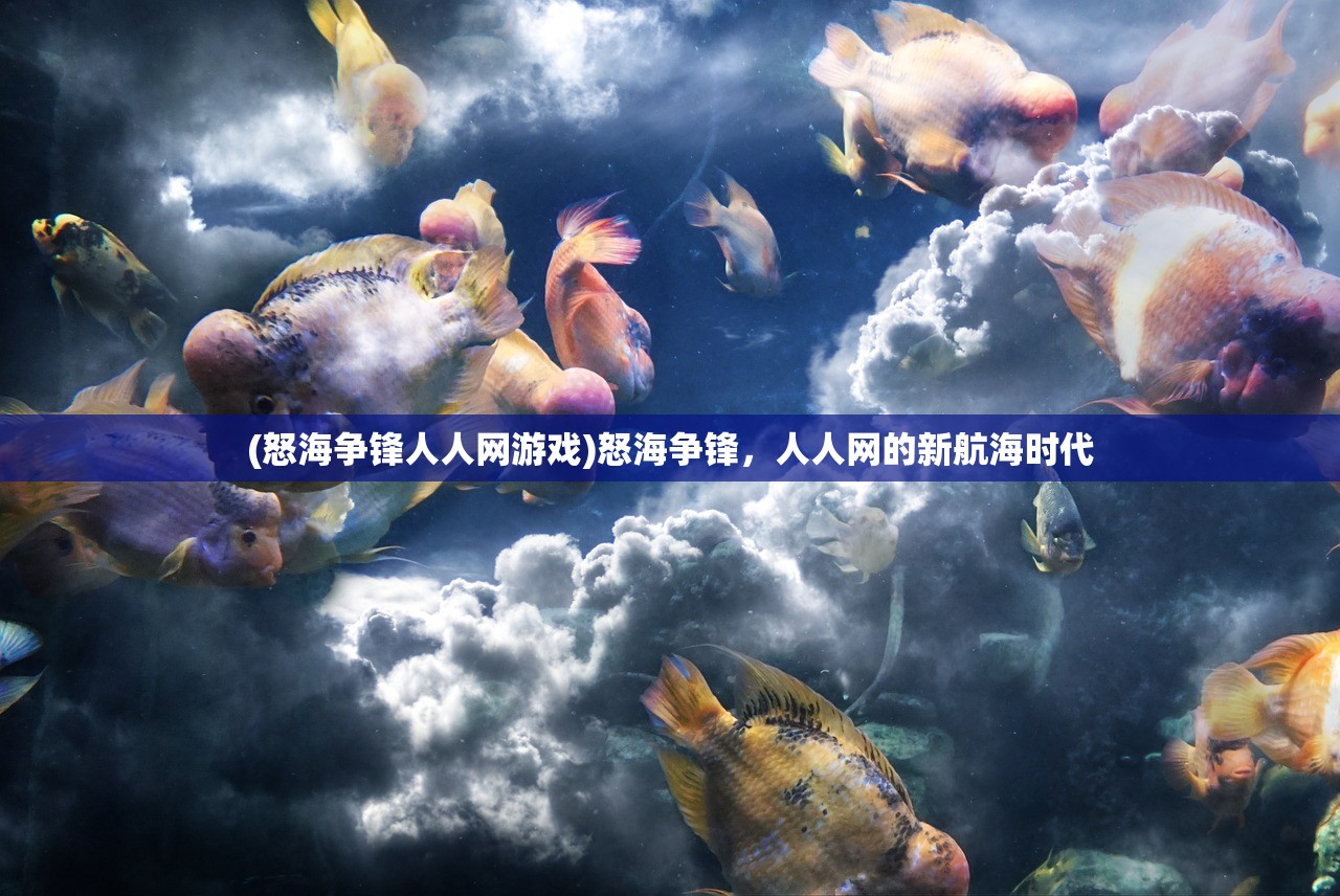 (怒海争锋人人网游戏)怒海争锋，人人网的新航海时代