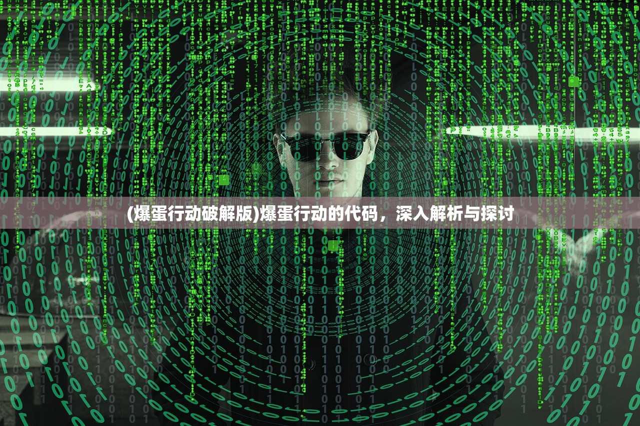 (爆蛋行动破解版)爆蛋行动的代码，深入解析与探讨