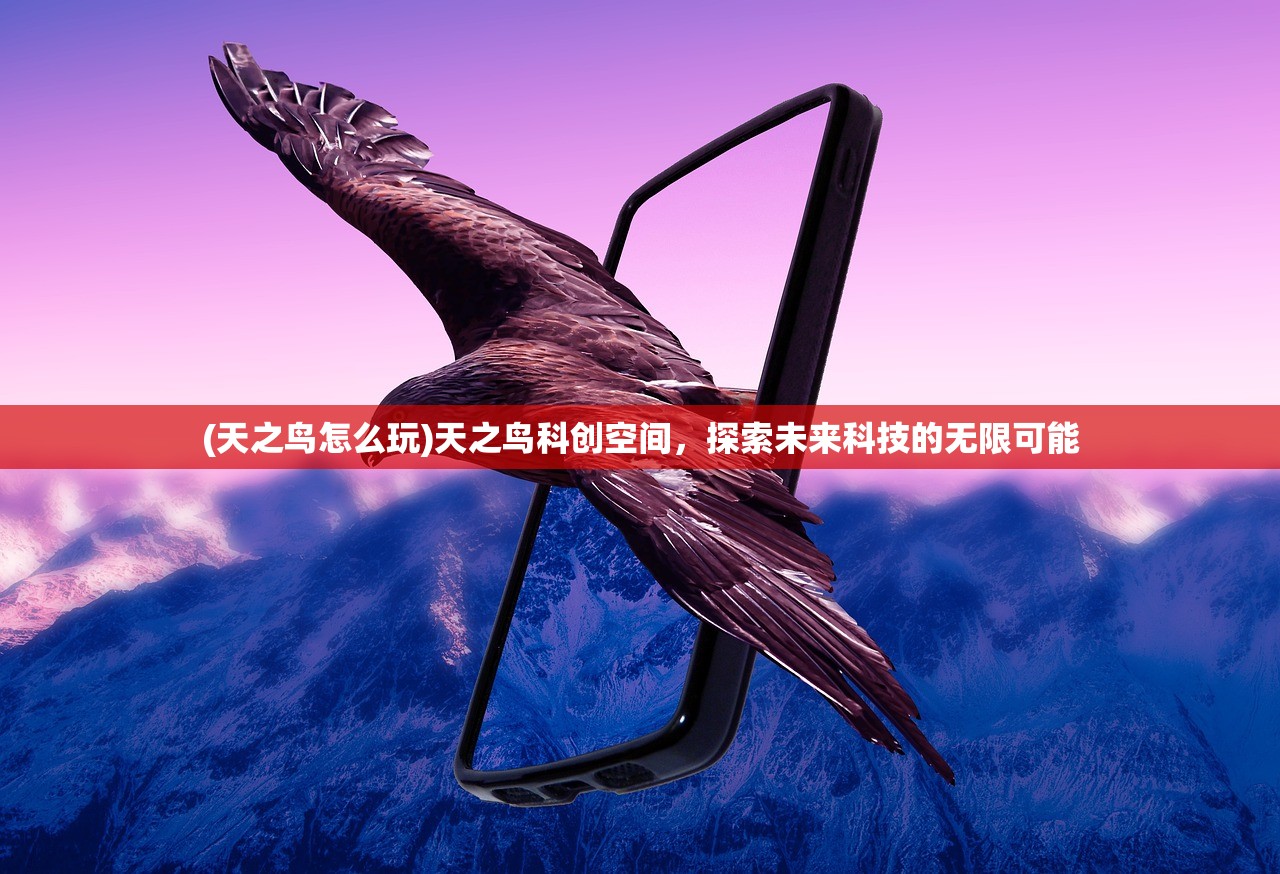 (天之鸟怎么玩)天之鸟科创空间，探索未来科技的无限可能