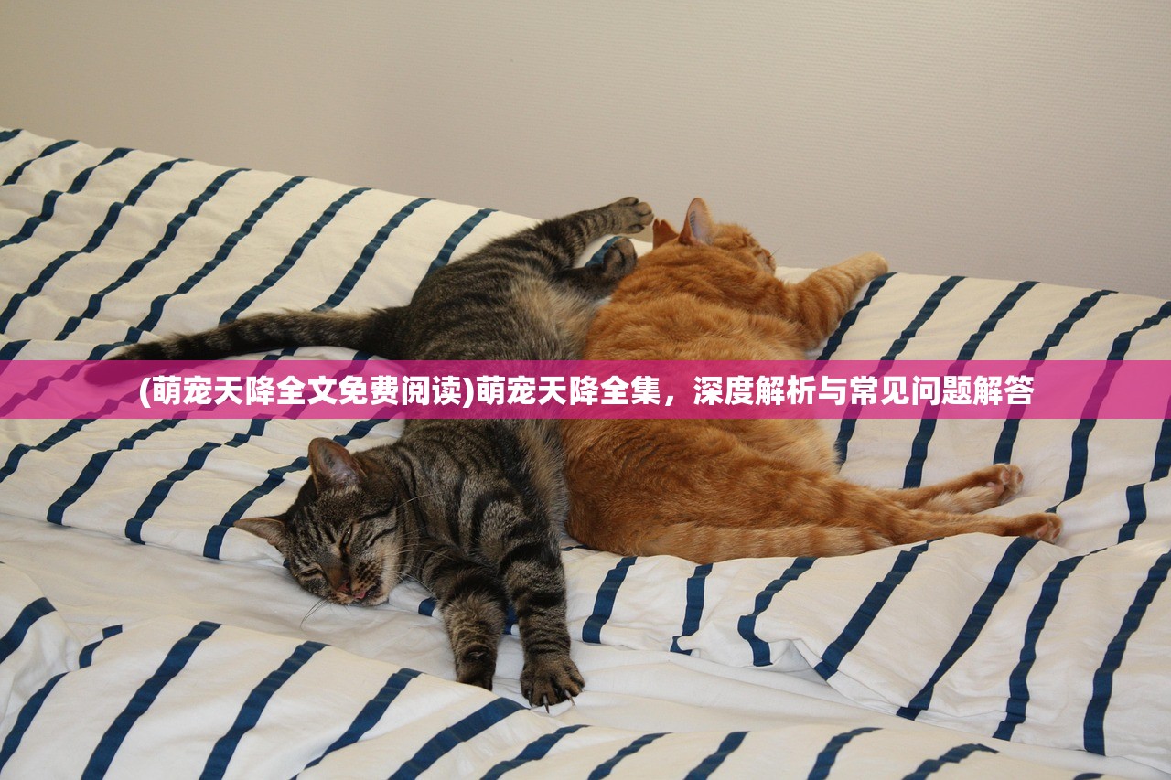 (萌宠天降全文免费阅读)萌宠天降全集，深度解析与常见问题解答