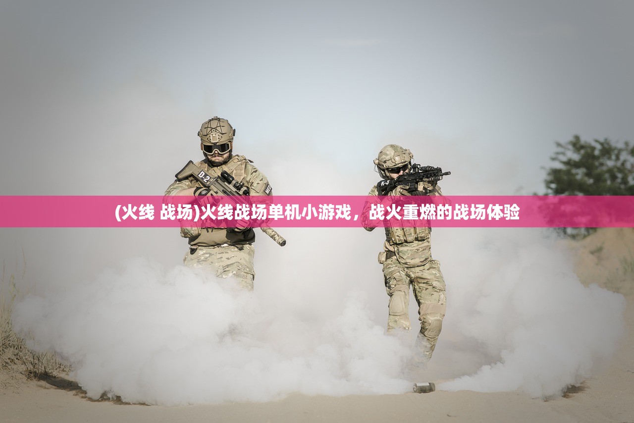 (火线 战场)火线战场单机小游戏，战火重燃的战场体验