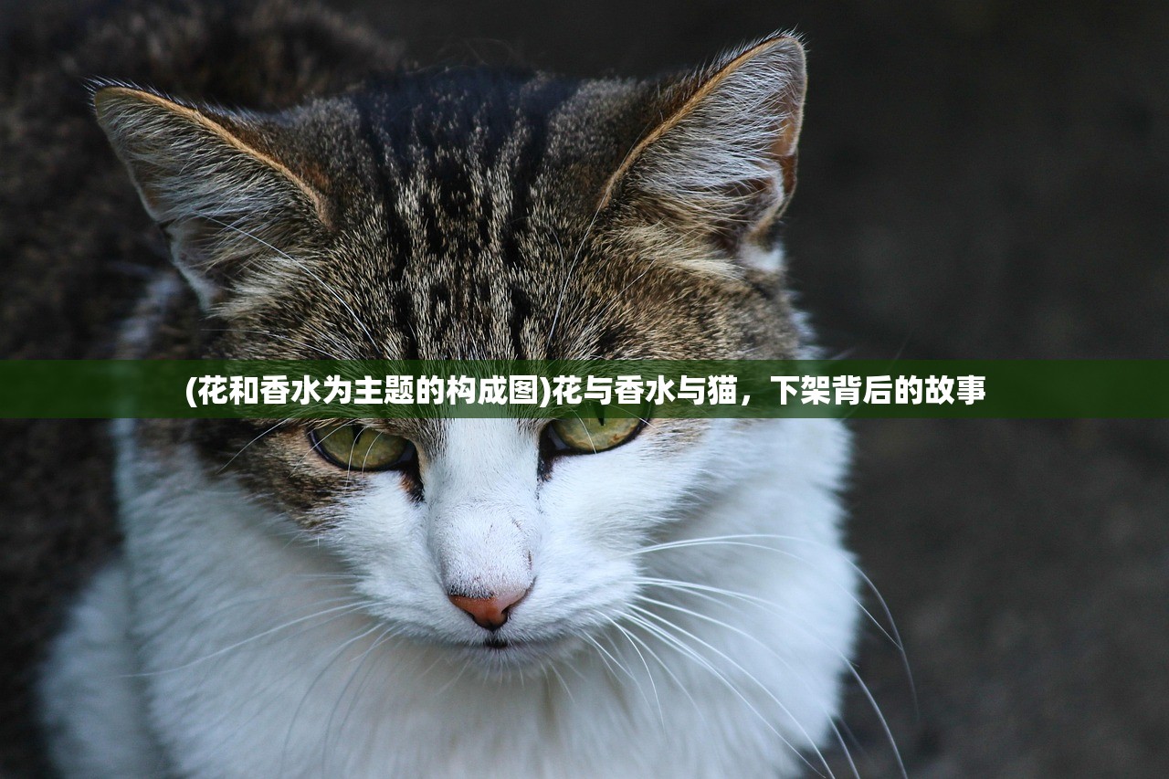 (花和香水为主题的构成图)花与香水与猫，下架背后的故事