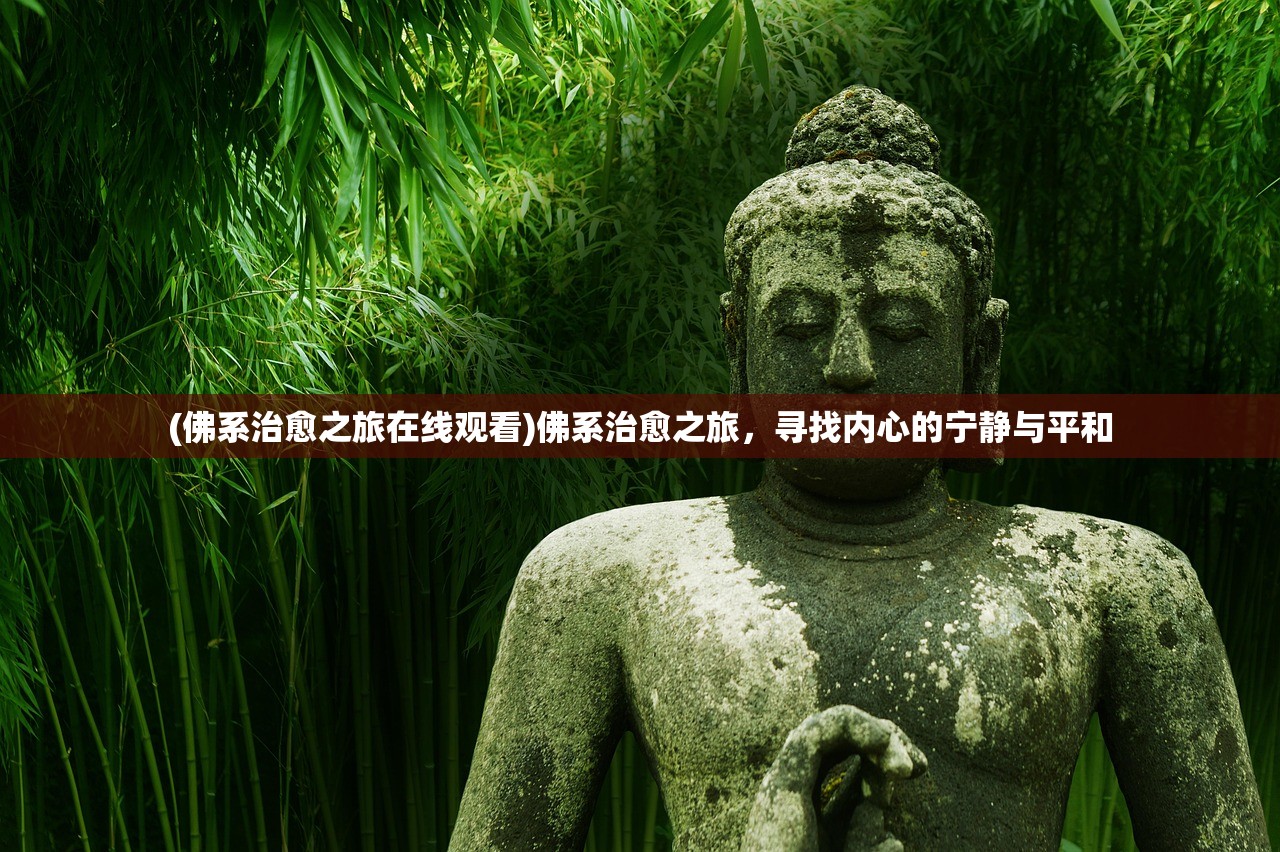 (佛系治愈之旅在线观看)佛系治愈之旅，寻找内心的宁静与平和