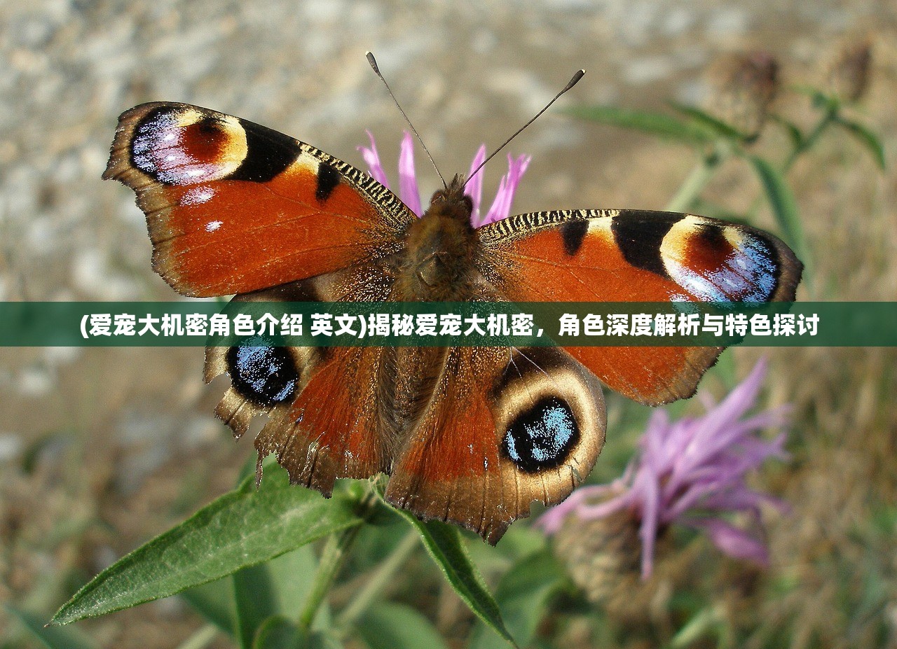 (爱宠大机密角色介绍 英文)揭秘爱宠大机密，角色深度解析与特色探讨