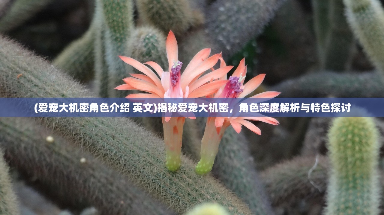 (爱宠大机密角色介绍 英文)揭秘爱宠大机密，角色深度解析与特色探讨