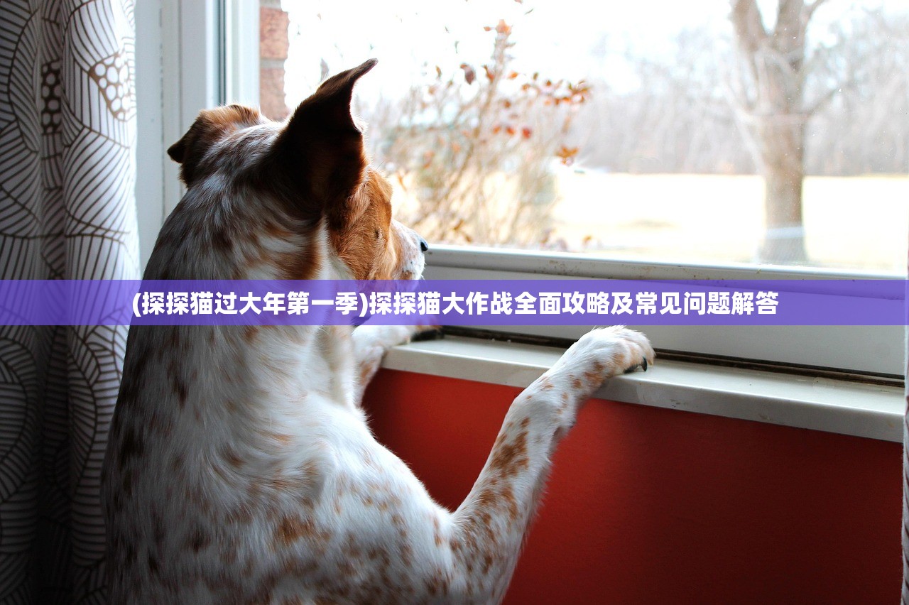(执剑江湖现在改名了吗最新消息)执剑江湖是否更名，深度探讨与常见问题解答