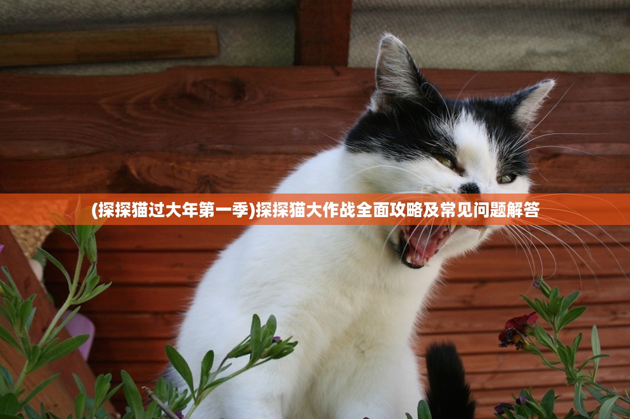 (探探猫过大年第一季)探探猫大作战全面攻略及常见问题解答