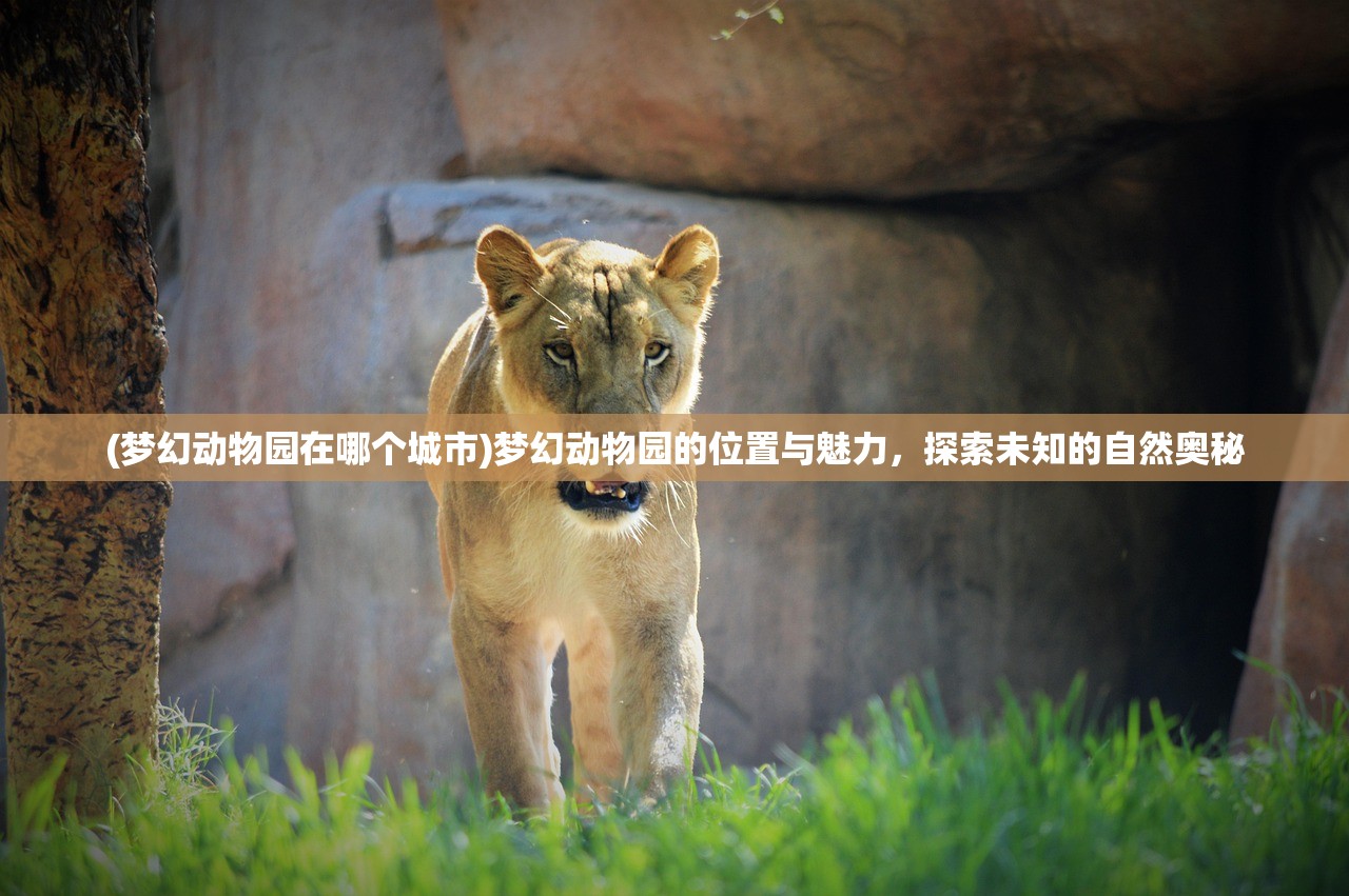 (黑夜迷踪结局解析知乎)黑夜迷踪结局深度解析及常见问题解答