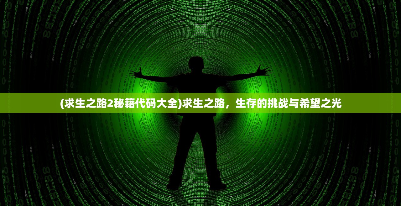 (求生之路2秘籍代码大全)求生之路，生存的挑战与希望之光
