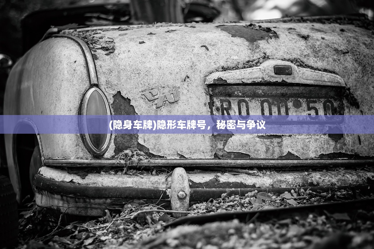 (隐身车牌)隐形车牌号，秘密与争议