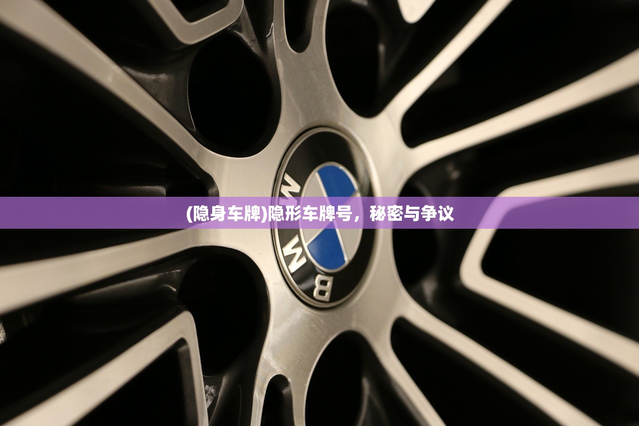 (隐身车牌)隐形车牌号，秘密与争议