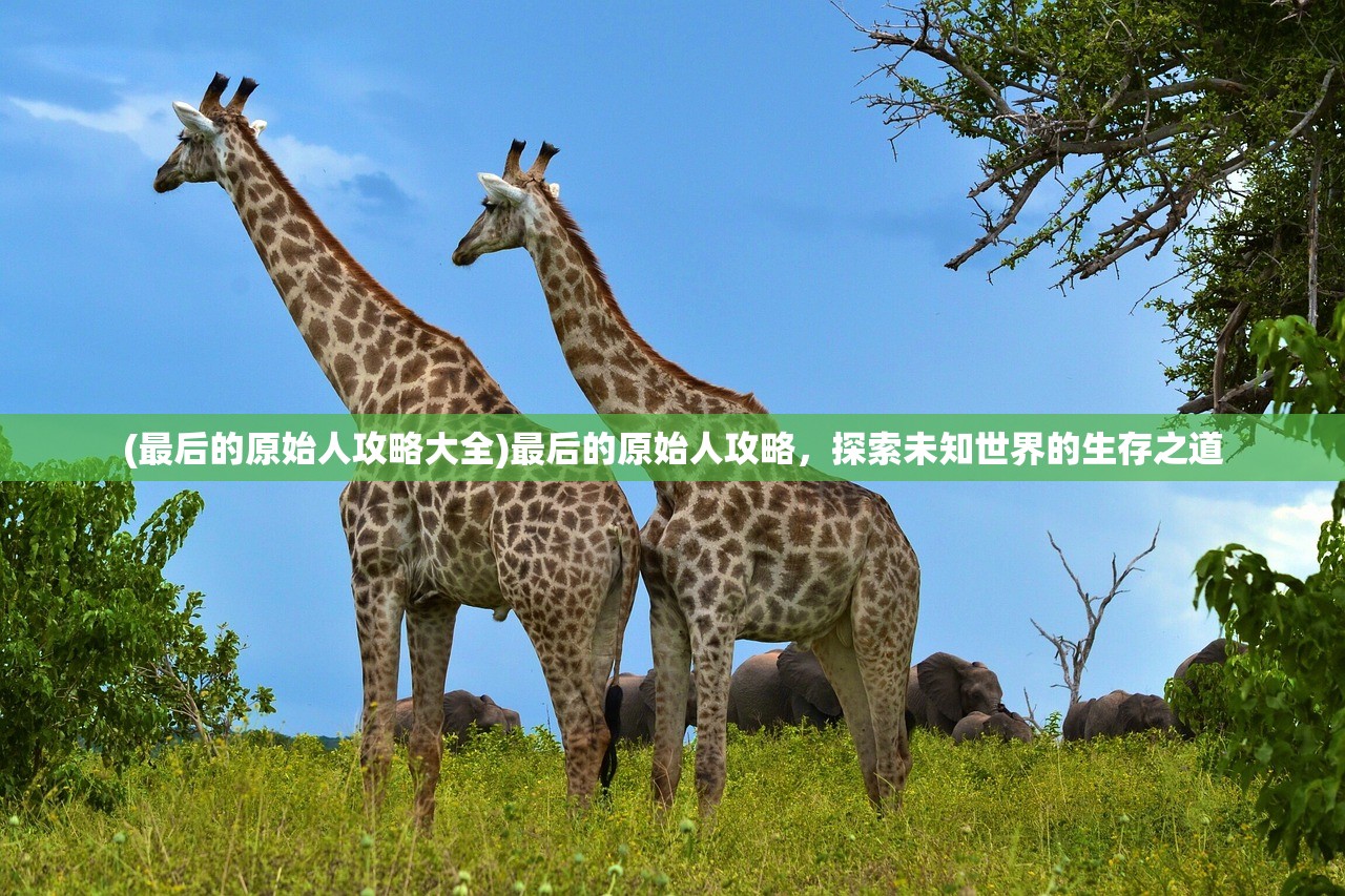 (最后的原始人攻略大全)最后的原始人攻略，探索未知世界的生存之道
