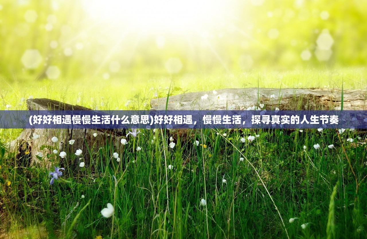 (好好相遇慢慢生活什么意思)好好相遇，慢慢生活，探寻真实的人生节奏