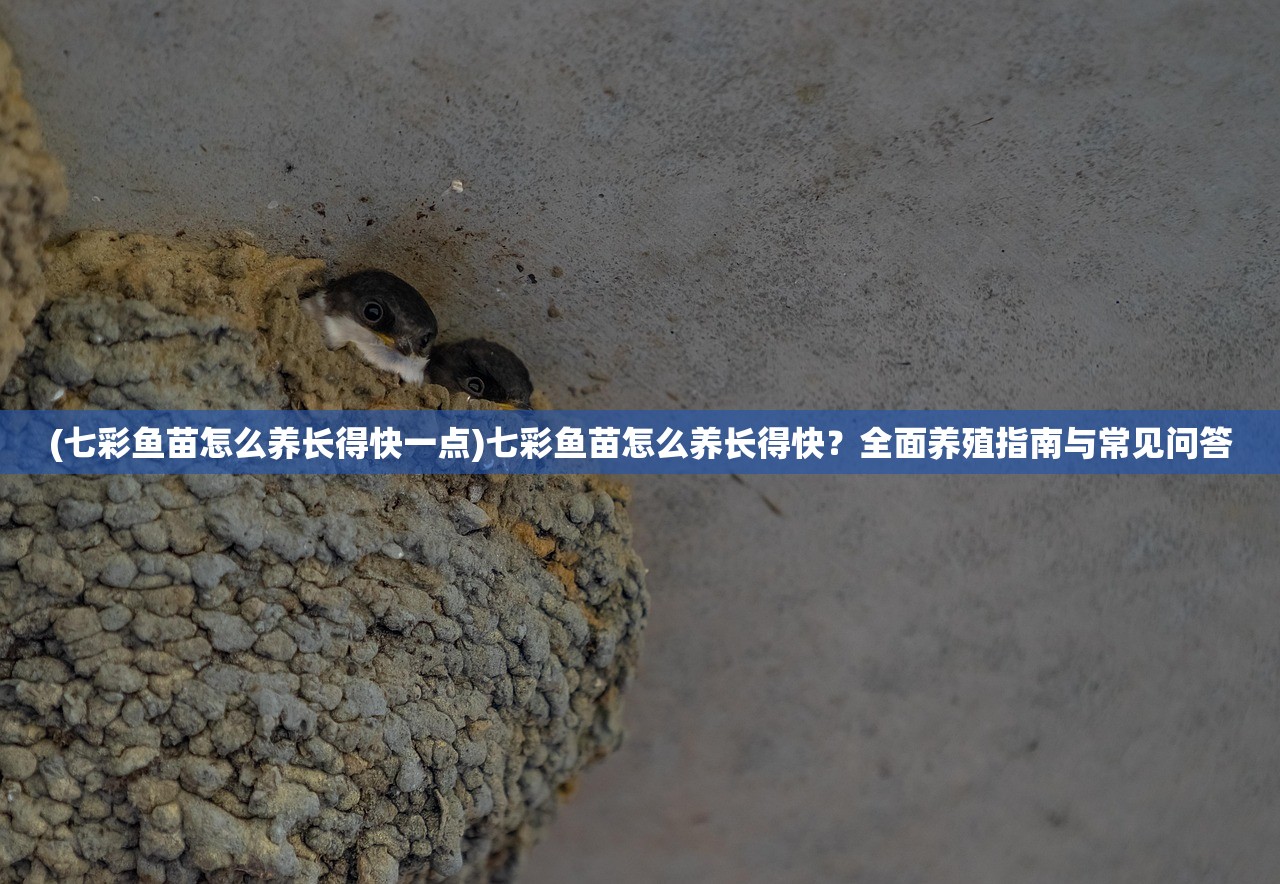 (七彩鱼苗怎么养长得快一点)七彩鱼苗怎么养长得快？全面养殖指南与常见问答
