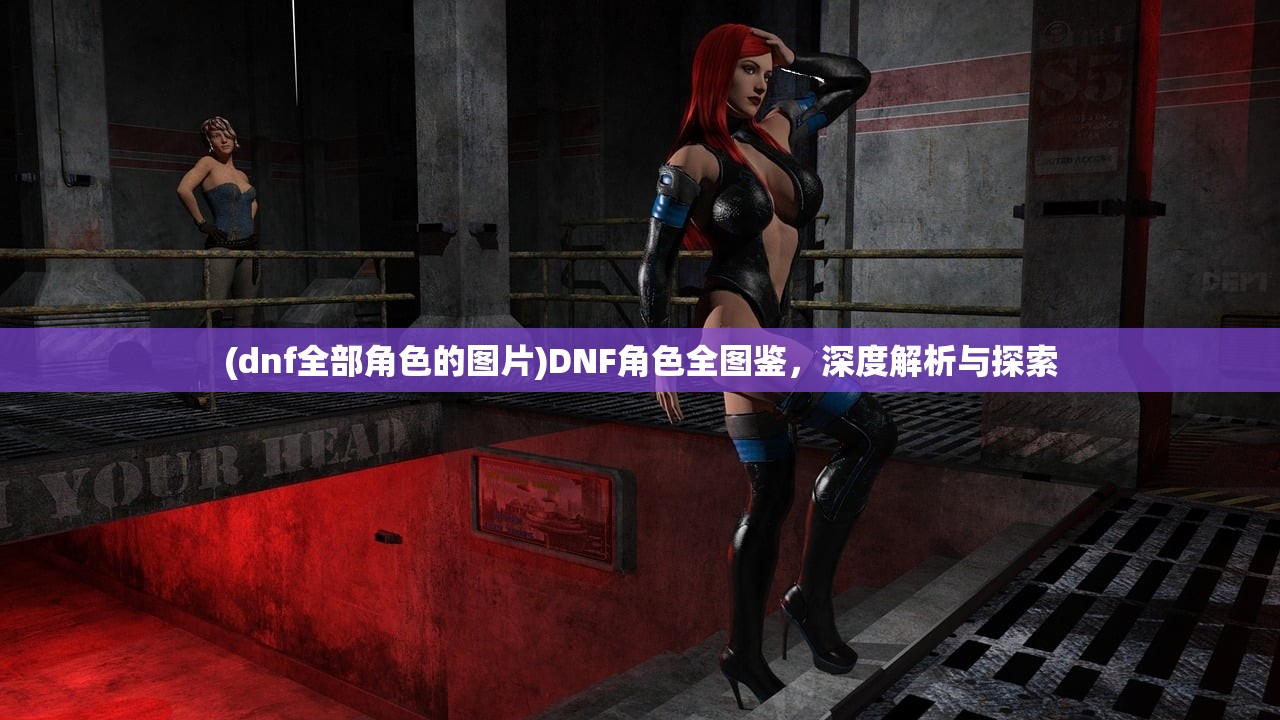 (dnf全部角色的图片)DNF角色全图鉴，深度解析与探索