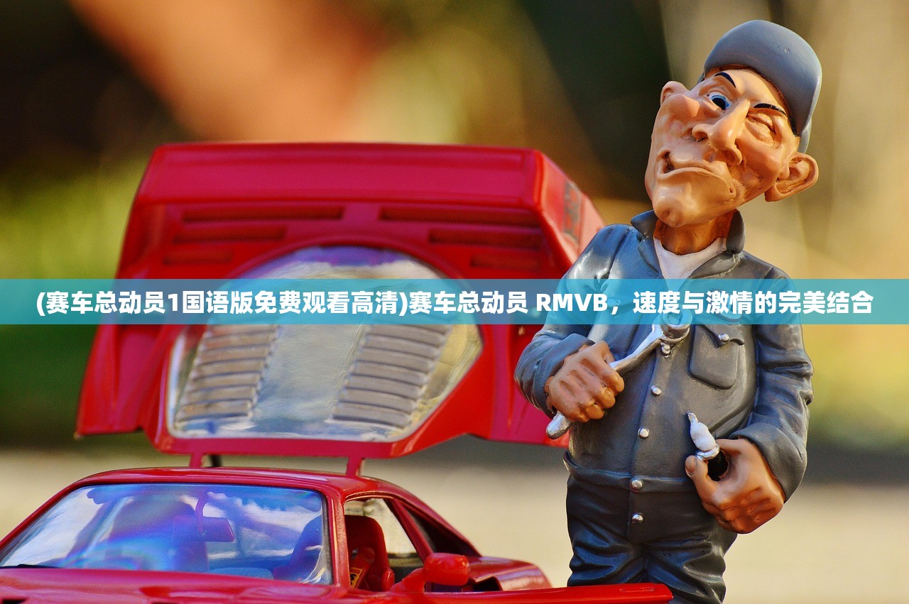 (赛车总动员1国语版免费观看高清)赛车总动员 RMVB，速度与激情的完美结合