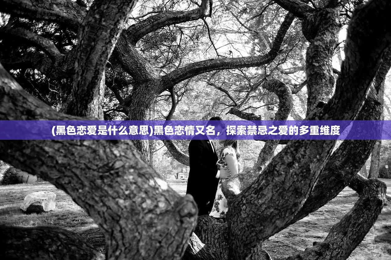 (黑色恋爱是什么意思)黑色恋情又名，探索禁忌之爱的多重维度