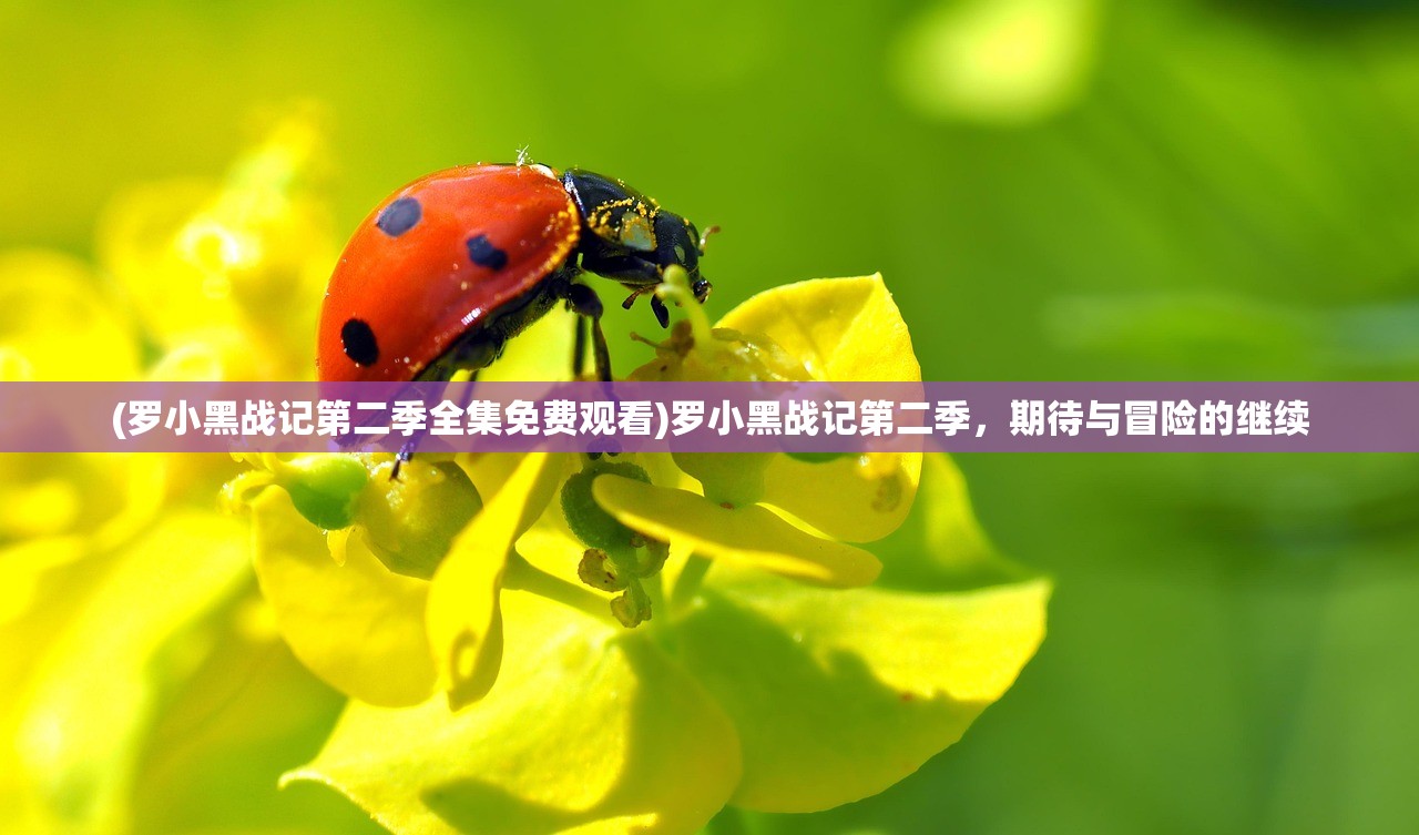 (罗小黑战记第二季全集免费观看)罗小黑战记第二季，期待与冒险的继续