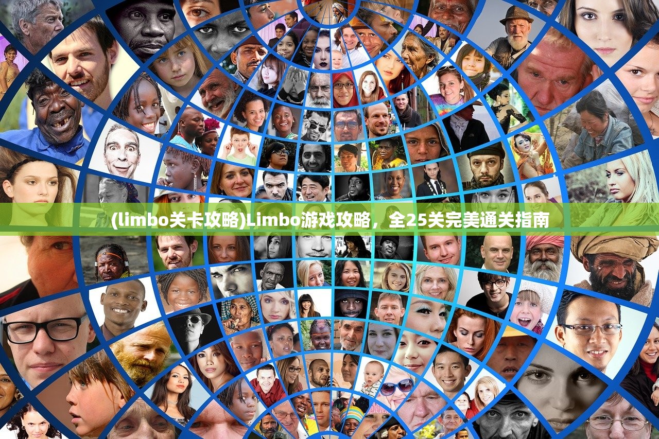 (limbo关卡攻略)Limbo游戏攻略，全25关完美通关指南