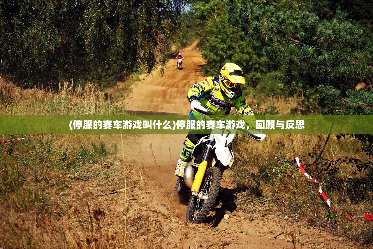 (停服的赛车游戏叫什么)停服的赛车游戏，回顾与反思