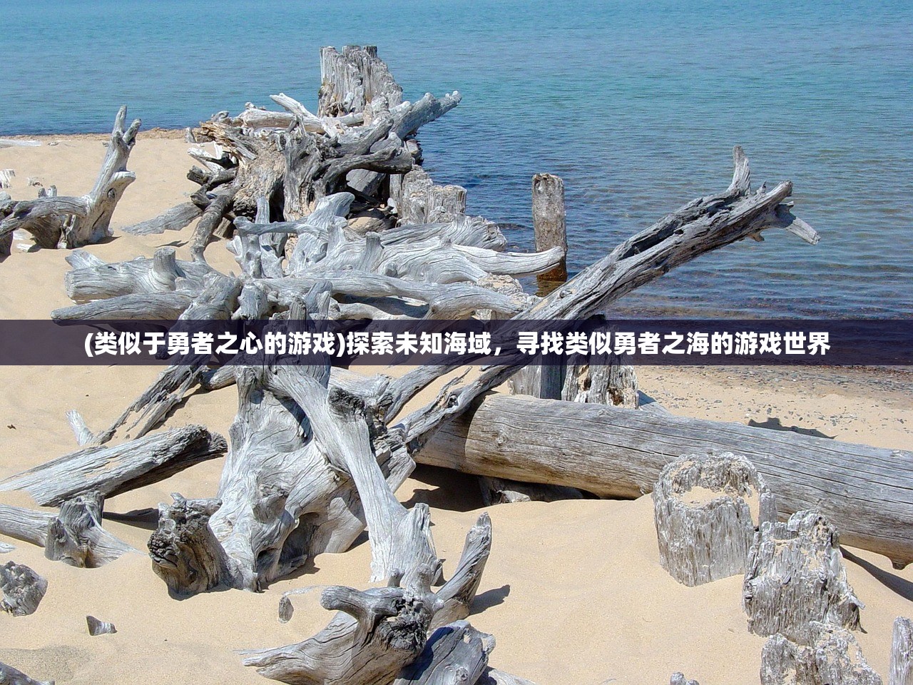 (类似于勇者之心的游戏)探索未知海域，寻找类似勇者之海的游戏世界