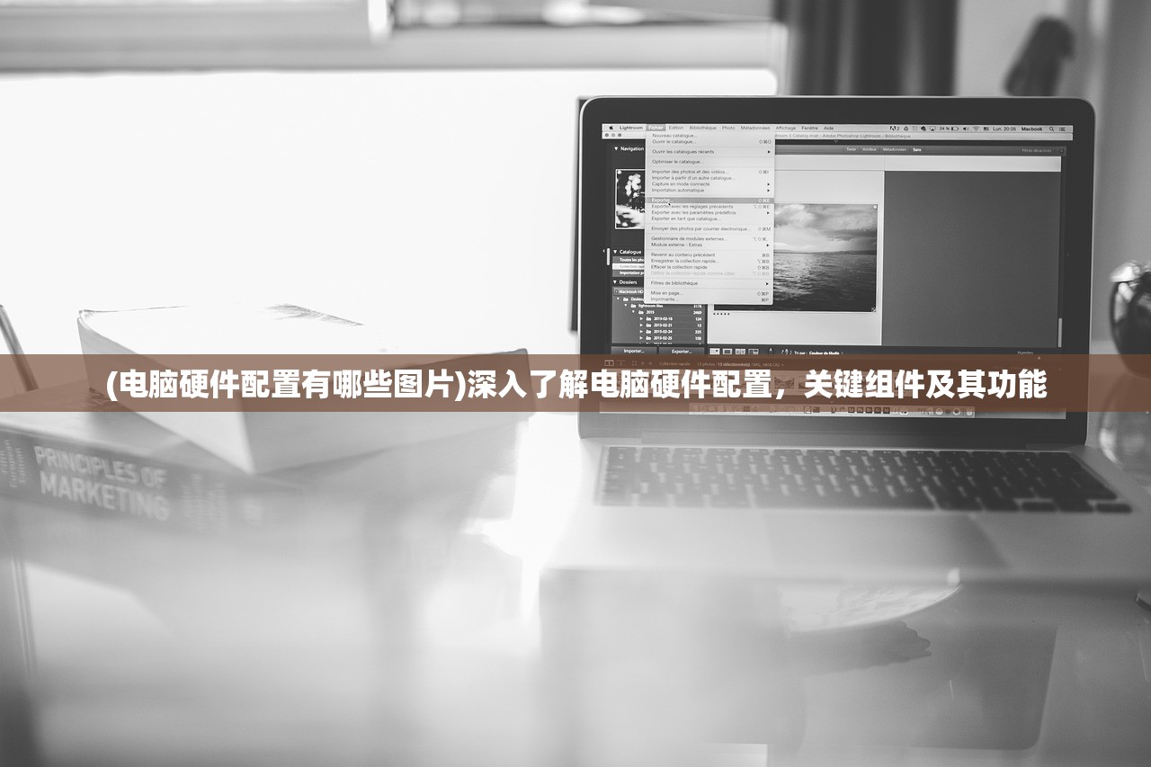 (电脑硬件配置有哪些图片)深入了解电脑硬件配置，关键组件及其功能