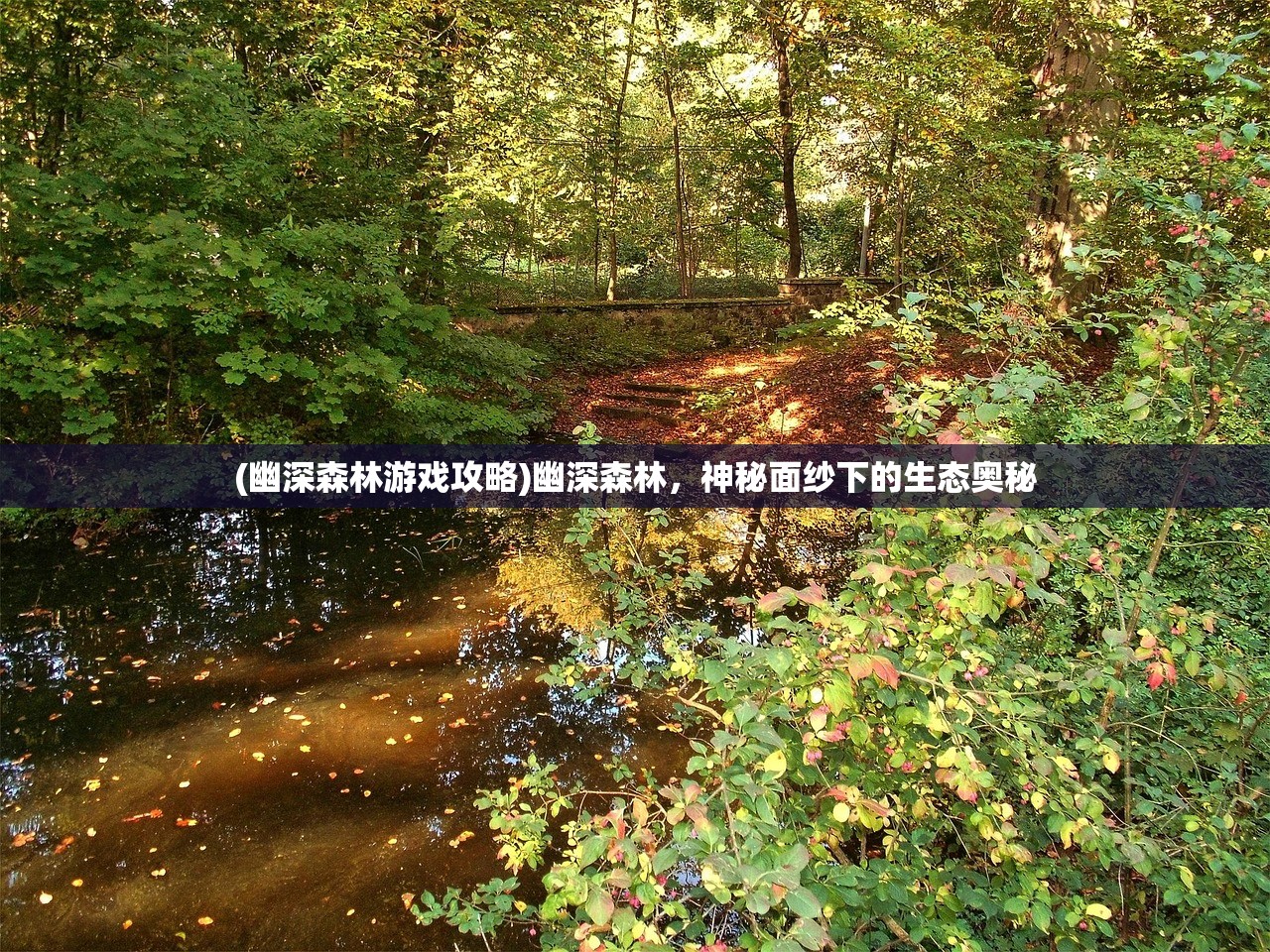 (幽深森林游戏攻略)幽深森林，神秘面纱下的生态奥秘