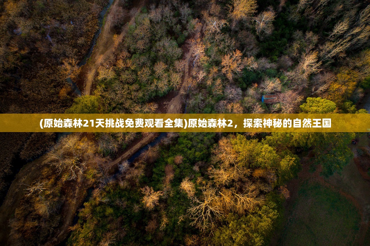 (原始森林21天挑战免费观看全集)原始森林2，探索神秘的自然王国