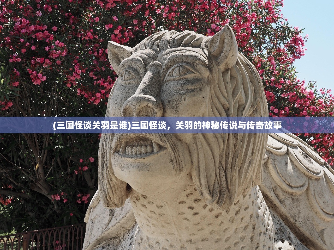 (三国怪谈关羽是谁)三国怪谈，关羽的神秘传说与传奇故事