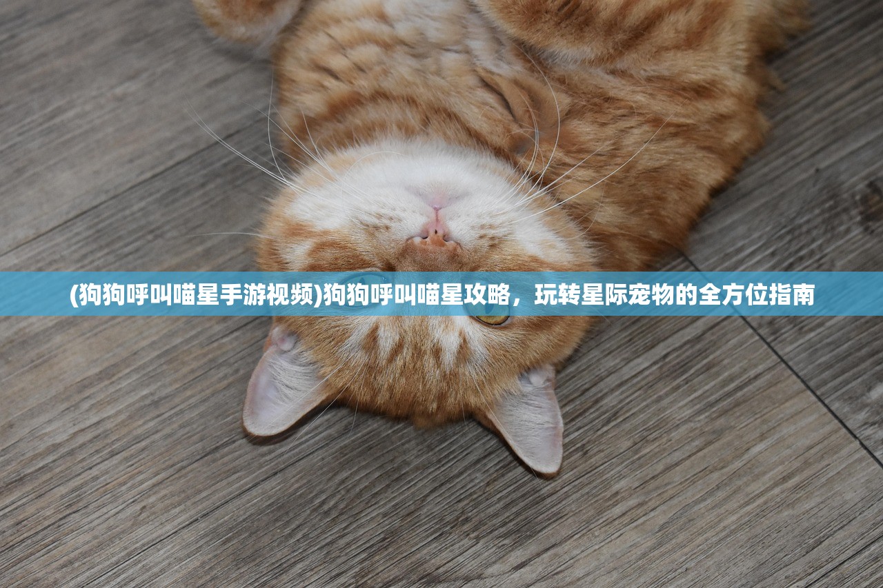 (狗狗呼叫喵星手游视频)狗狗呼叫喵星攻略，玩转星际宠物的全方位指南