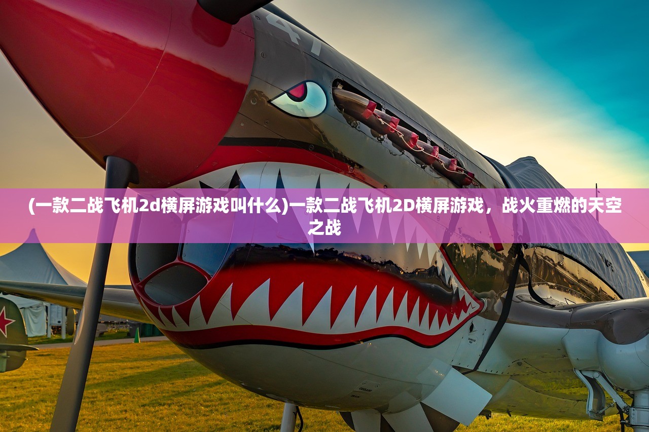 (一款二战飞机2d横屏游戏叫什么)一款二战飞机2D横屏游戏，战火重燃的天空之战