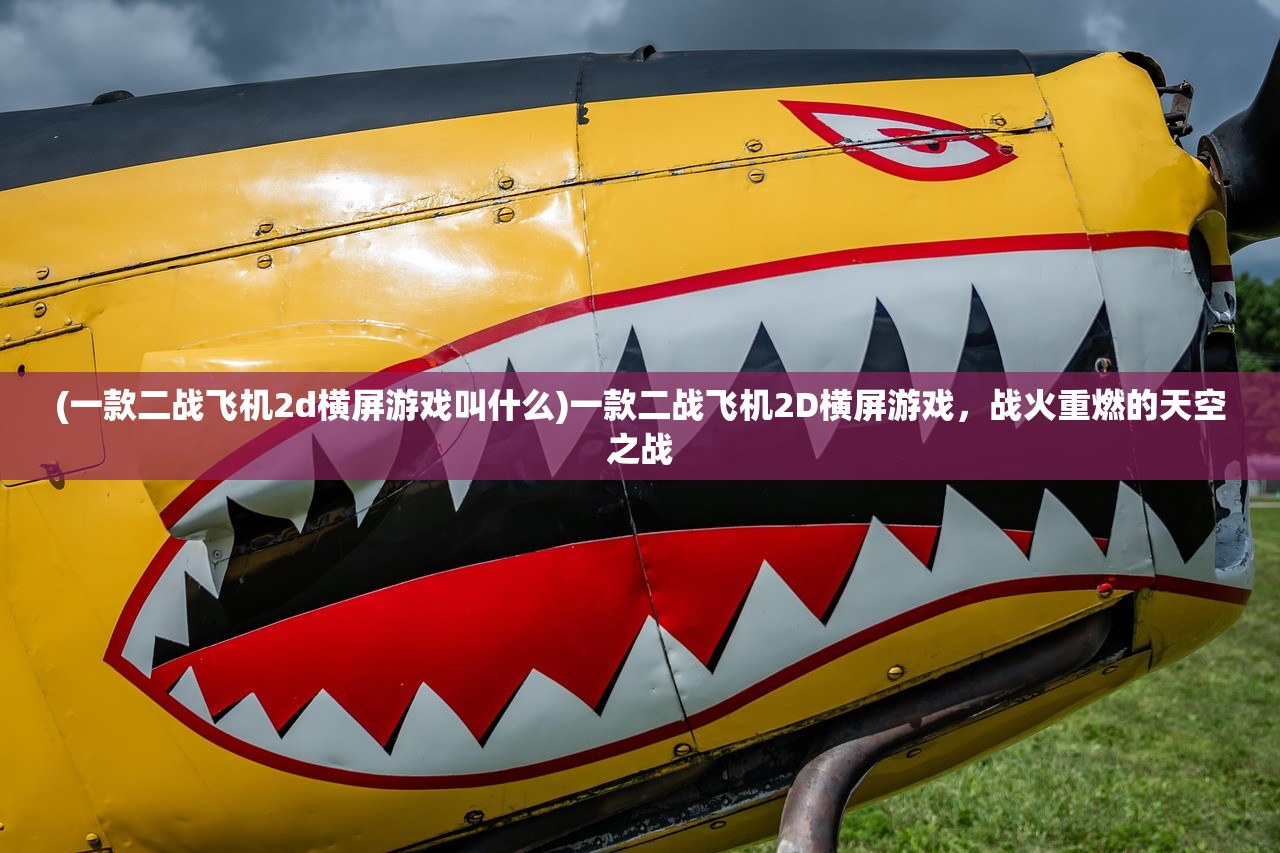 (一款二战飞机2d横屏游戏叫什么)一款二战飞机2D横屏游戏，战火重燃的天空之战