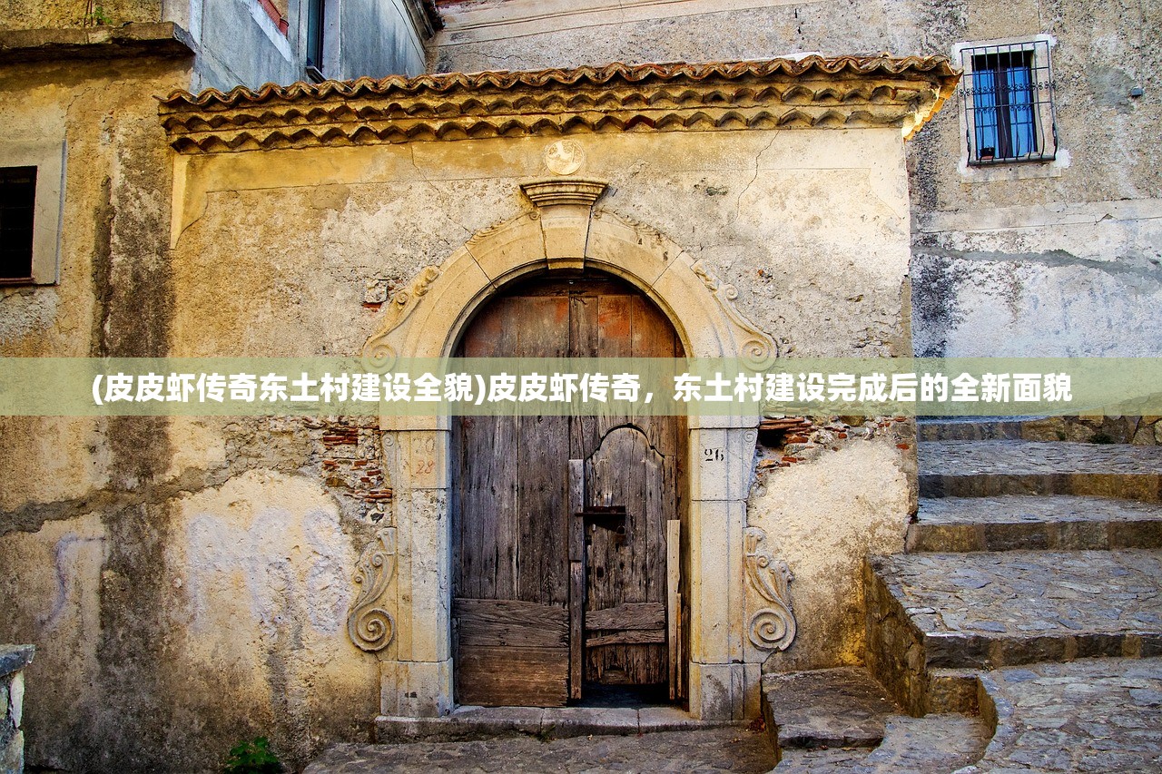 (皮皮虾传奇东土村建设全貌)皮皮虾传奇，东土村建设完成后的全新面貌