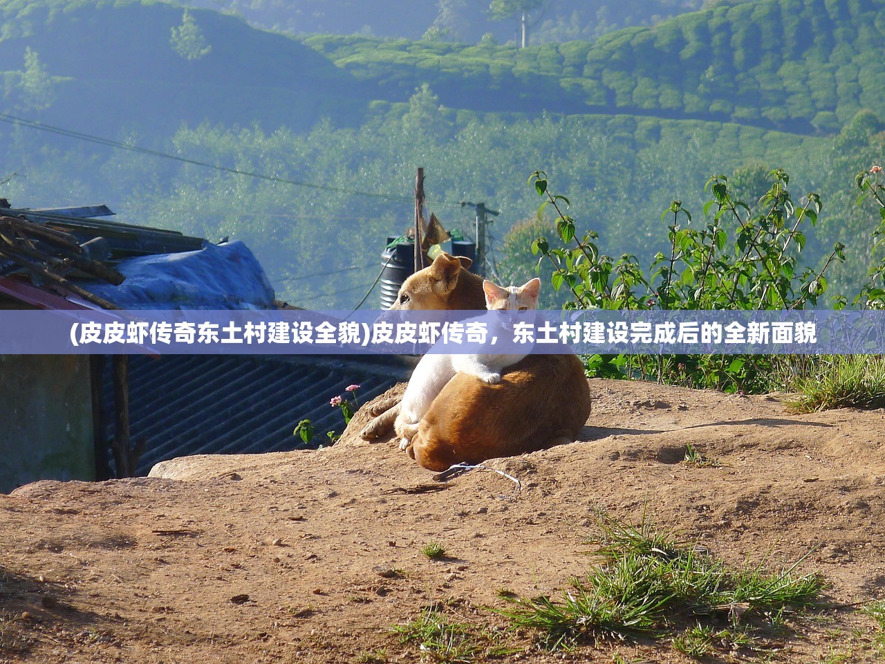 (皮皮虾传奇东土村建设全貌)皮皮虾传奇，东土村建设完成后的全新面貌