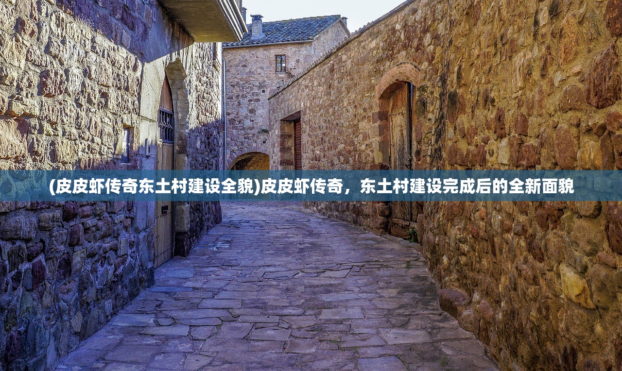 (皮皮虾传奇东土村建设全貌)皮皮虾传奇，东土村建设完成后的全新面貌