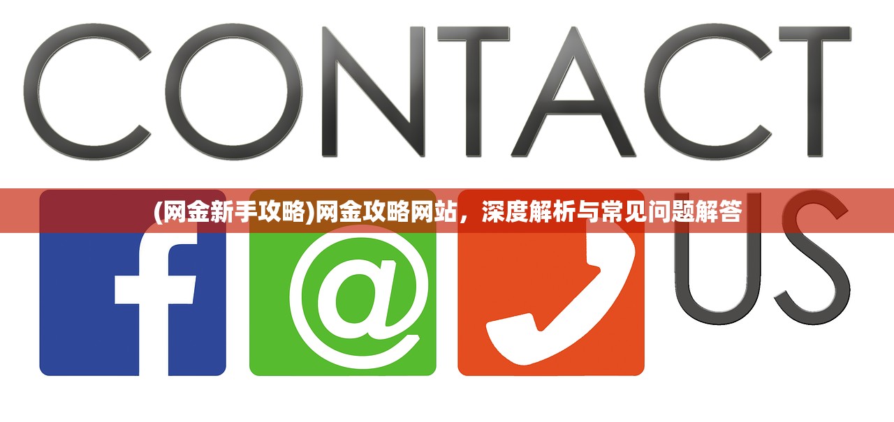 (网金新手攻略)网金攻略网站，深度解析与常见问题解答