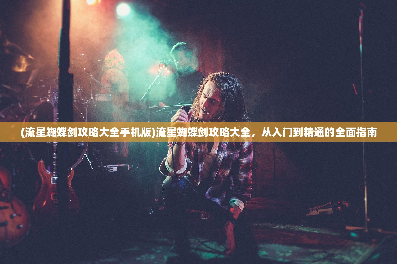 (流星蝴蝶剑攻略大全手机版)流星蝴蝶剑攻略大全，从入门到精通的全面指南