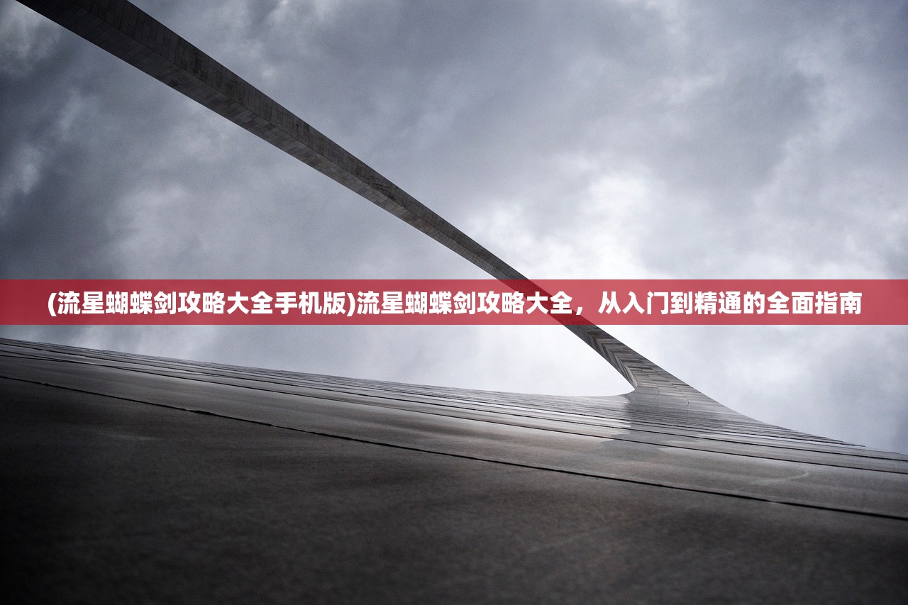 (流星蝴蝶剑攻略大全手机版)流星蝴蝶剑攻略大全，从入门到精通的全面指南