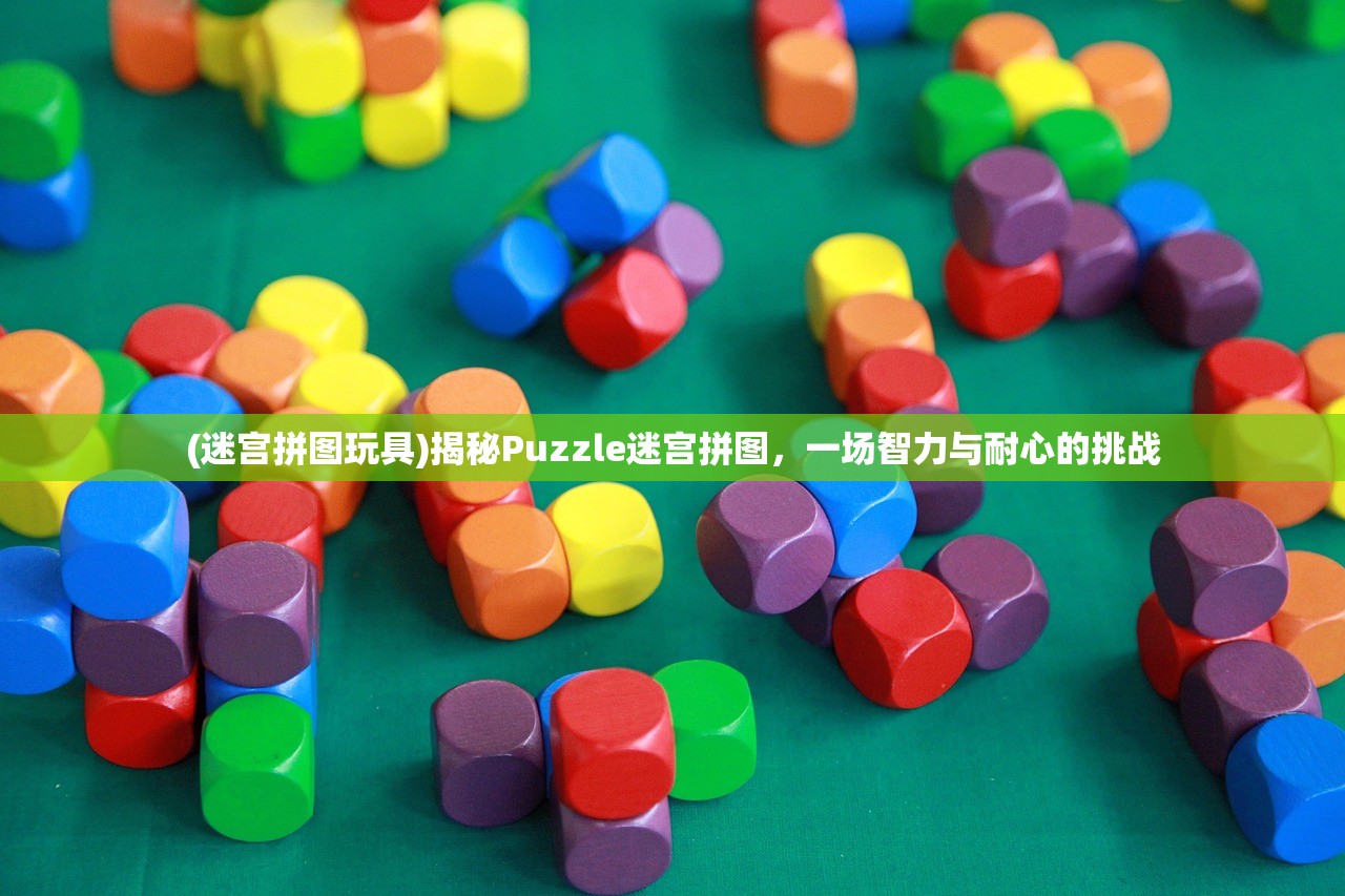 (迷宫拼图玩具)揭秘Puzzle迷宫拼图，一场智力与耐心的挑战