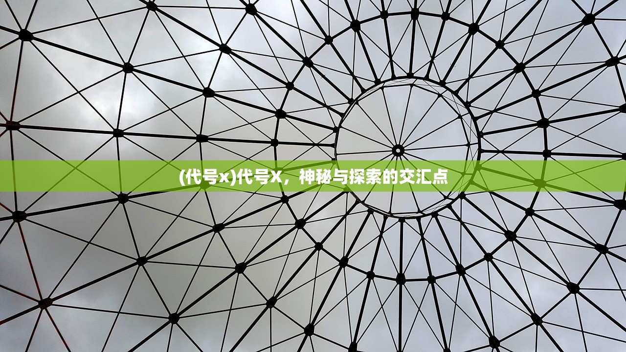 (代号x)代号X，神秘与探索的交汇点