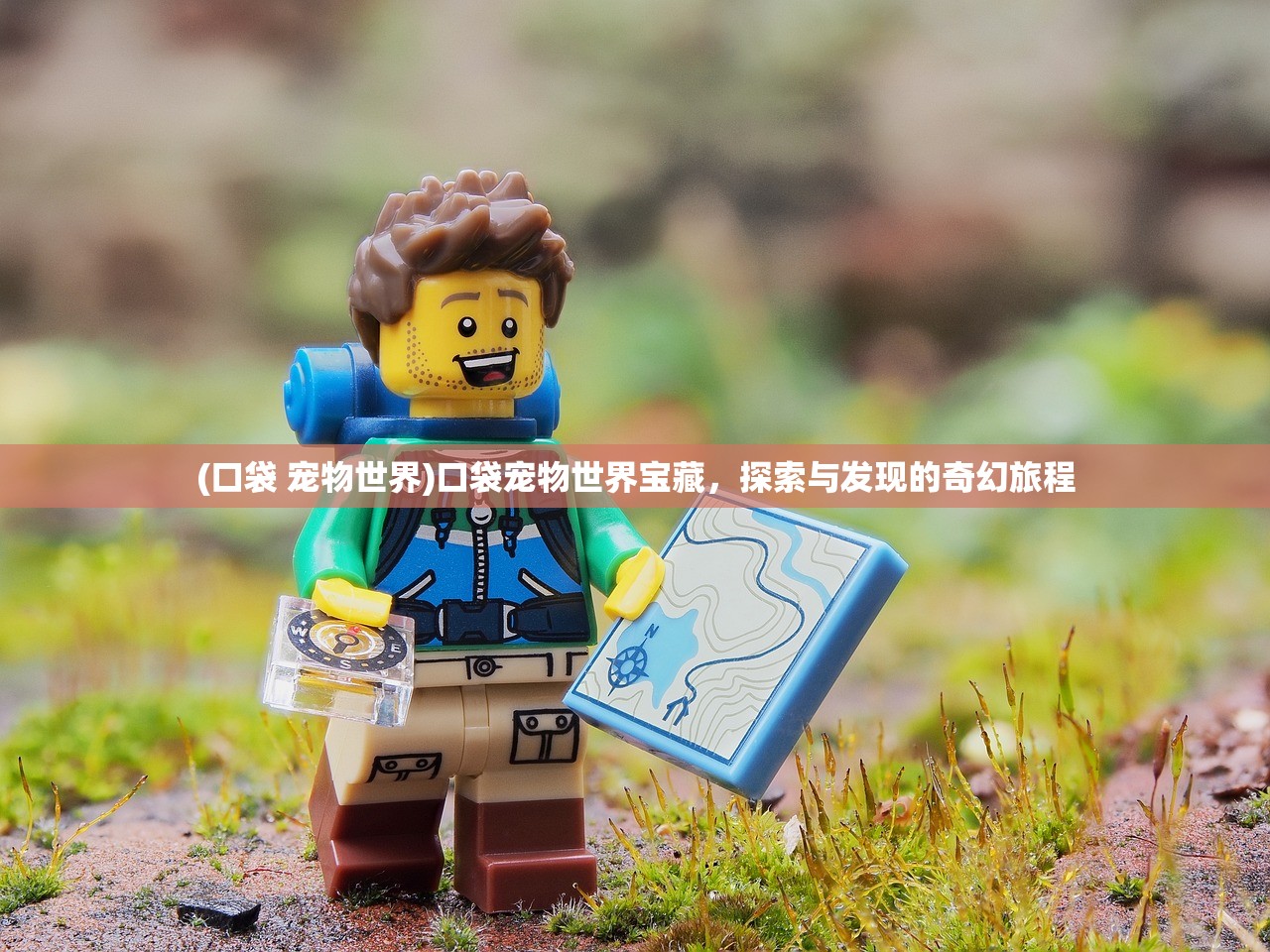 (口袋 宠物世界)口袋宠物世界宝藏，探索与发现的奇幻旅程