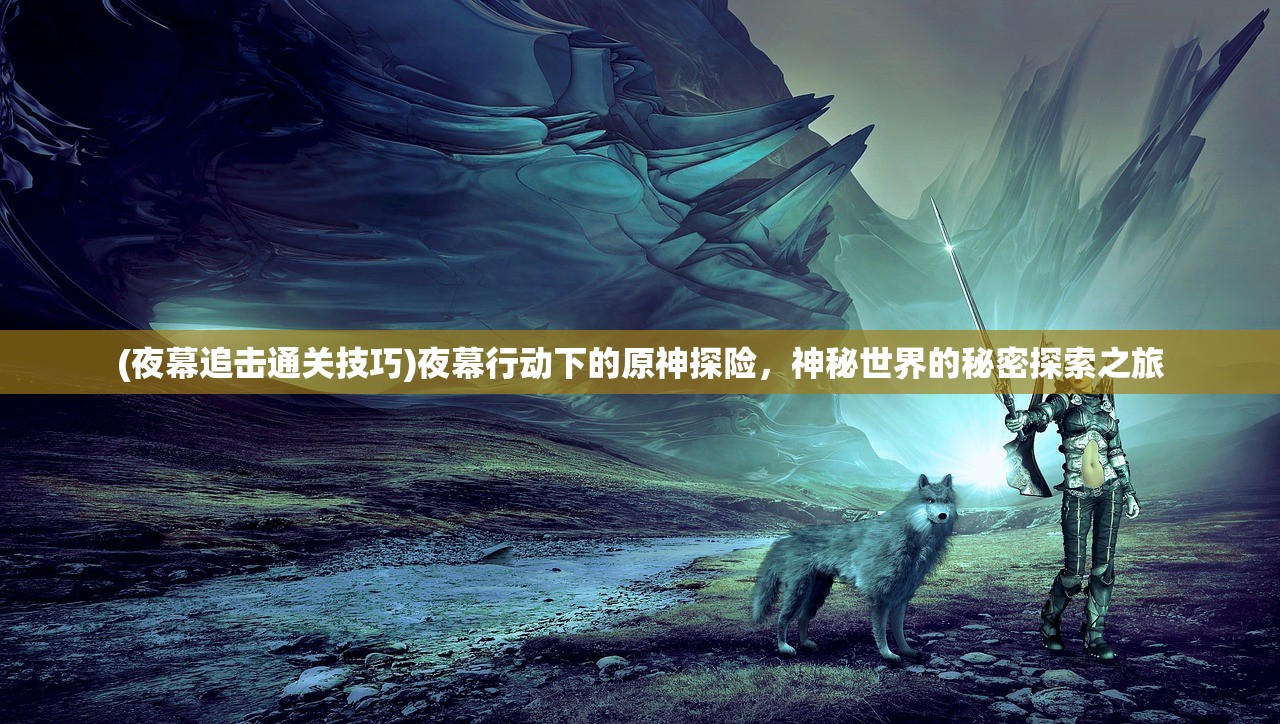 (夜幕追击通关技巧)夜幕行动下的原神探险，神秘世界的秘密探索之旅