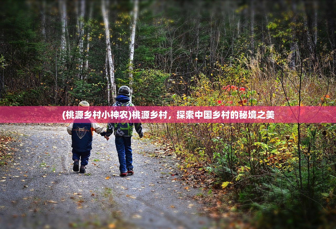 (桃源乡村小神农)桃源乡村，探索中国乡村的秘境之美