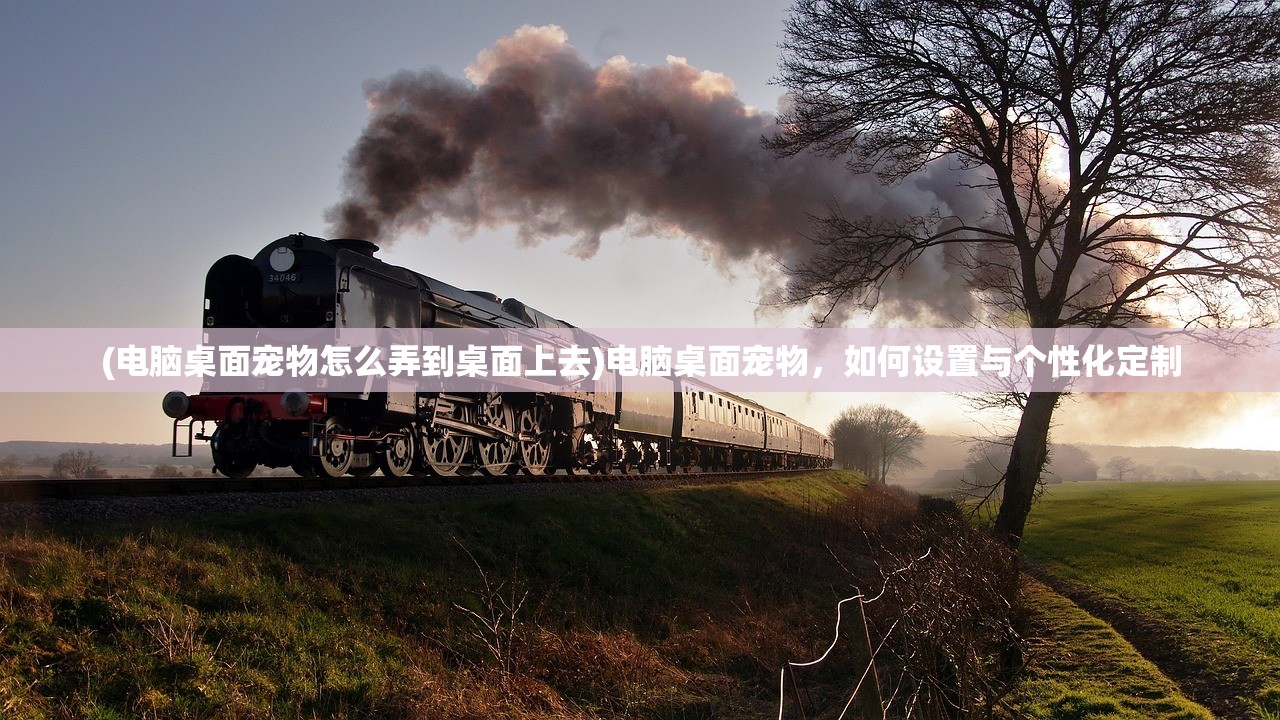 (电脑桌面宠物怎么弄到桌面上去)电脑桌面宠物，如何设置与个性化定制