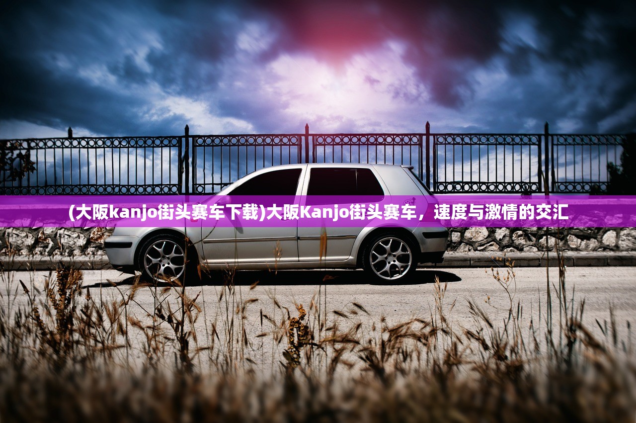 (大阪kanjo街头赛车下载)大阪Kanjo街头赛车，速度与激情的交汇